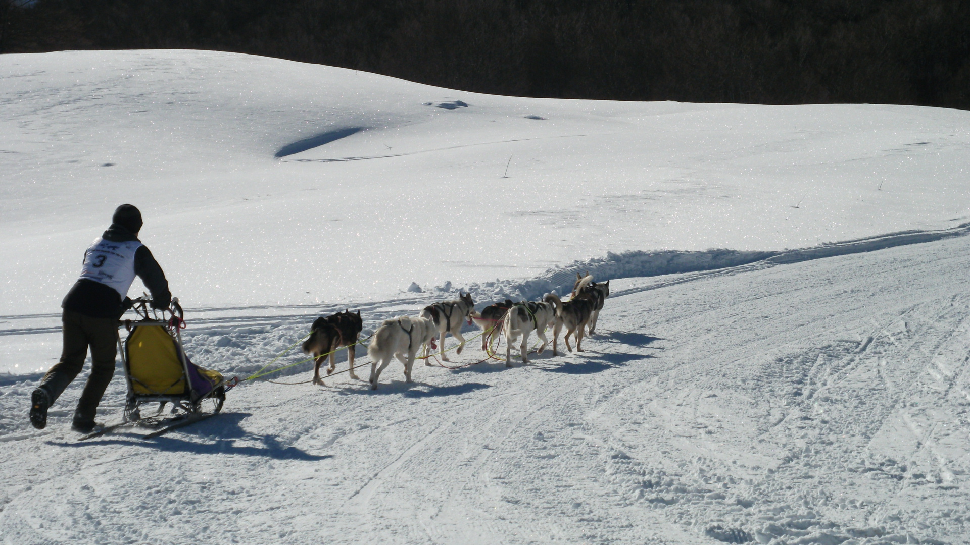 Auf der Strecke Campo 2011