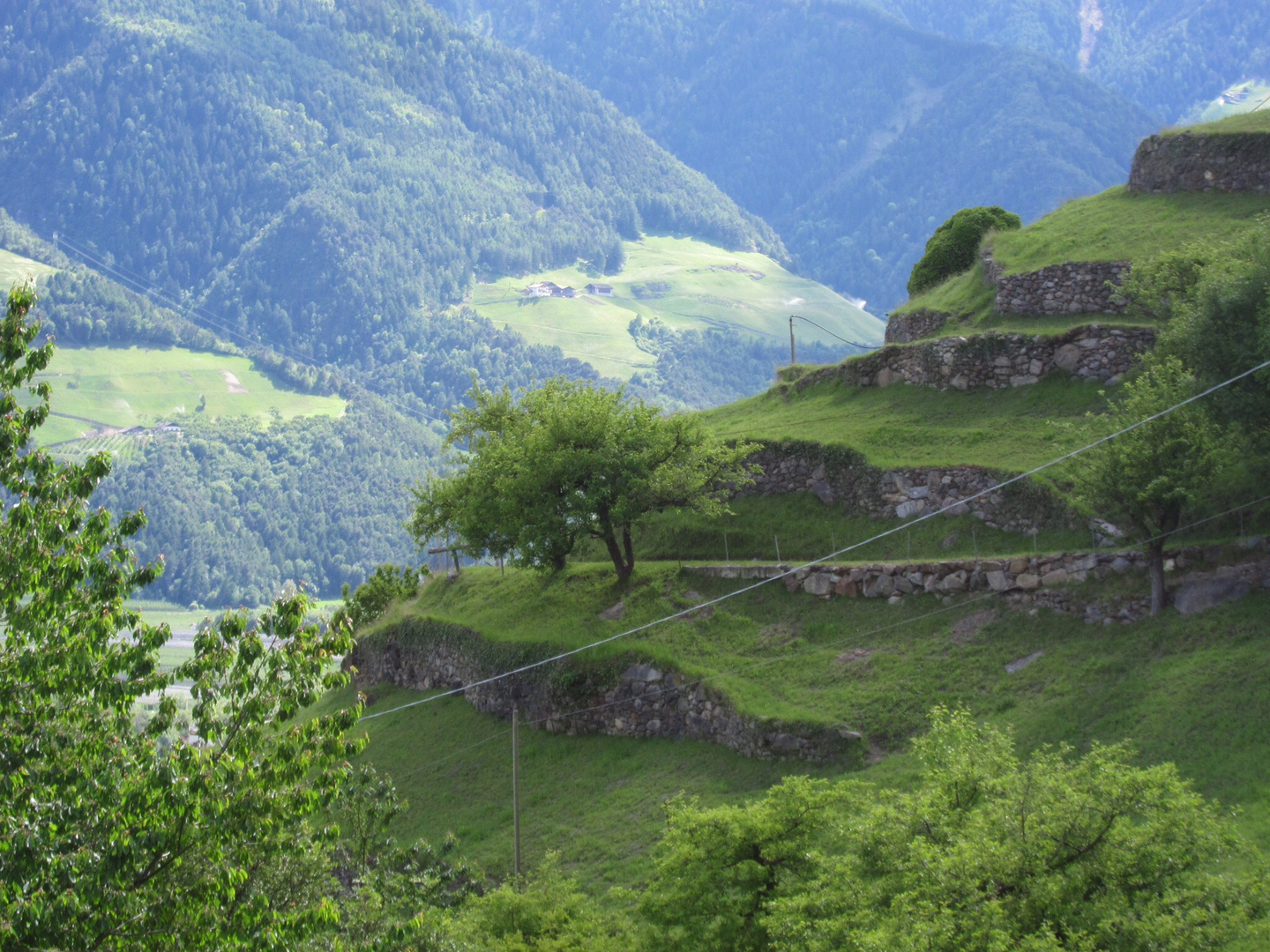 Auf der Strecke Meran - Naturns