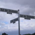 auf der strotheide...