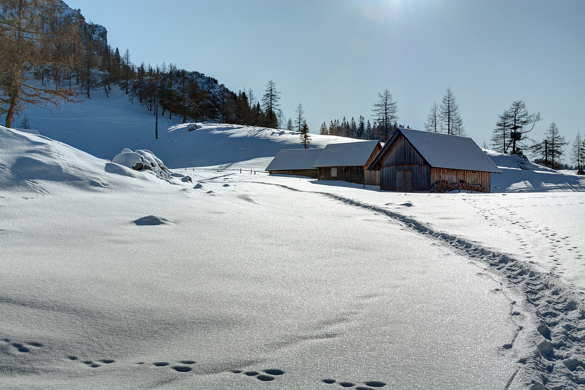 Auf der Stubwiesalm