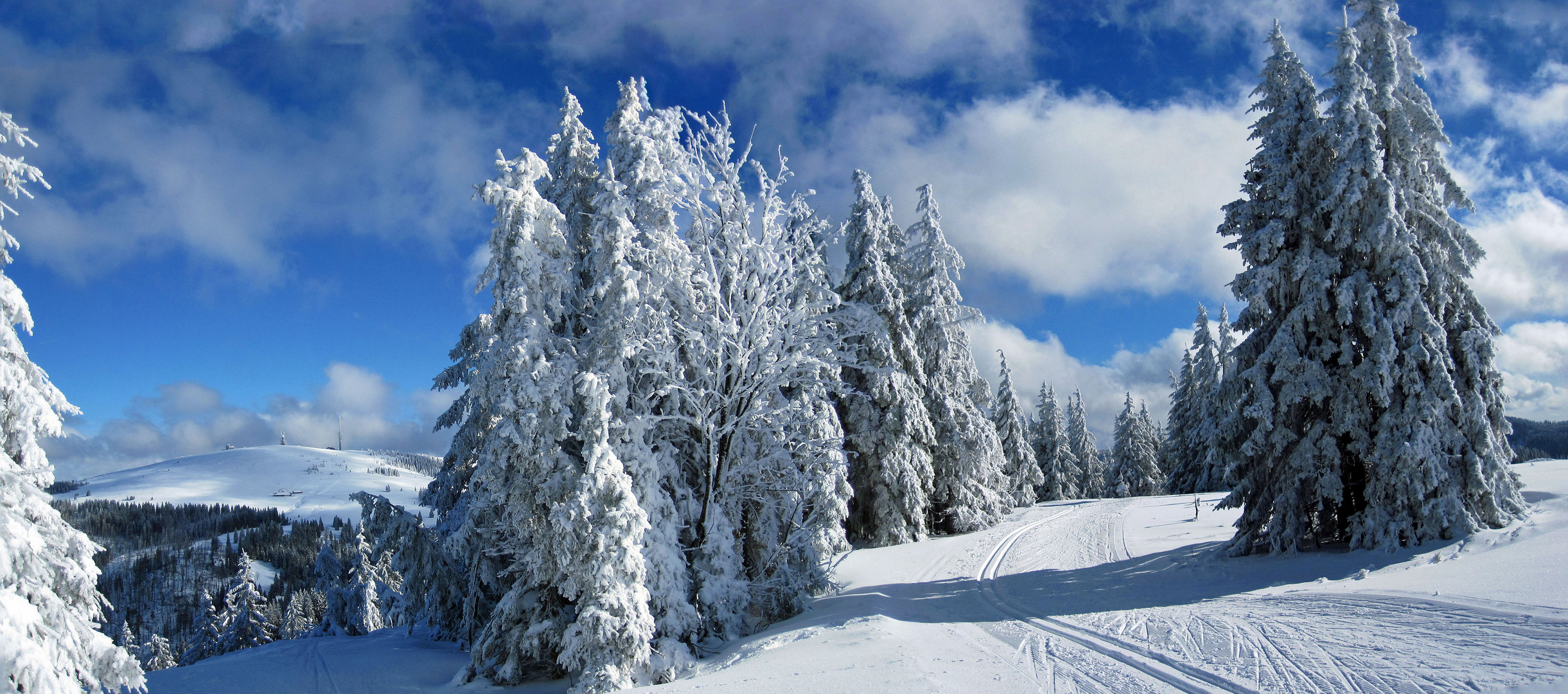 Auf der Stübenwasenspur mit Blick auf den Feldberg