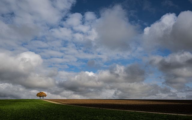 Auf der Suche nach "Autumn leaves" I - Duett
