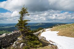 Auf der Suche nach dem Bergfrühling (3)