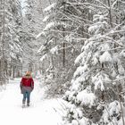 auf der Suche nach dem Christkind