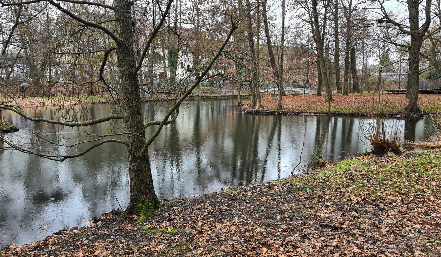 Auf der Suche nach dem Frühling... (2)