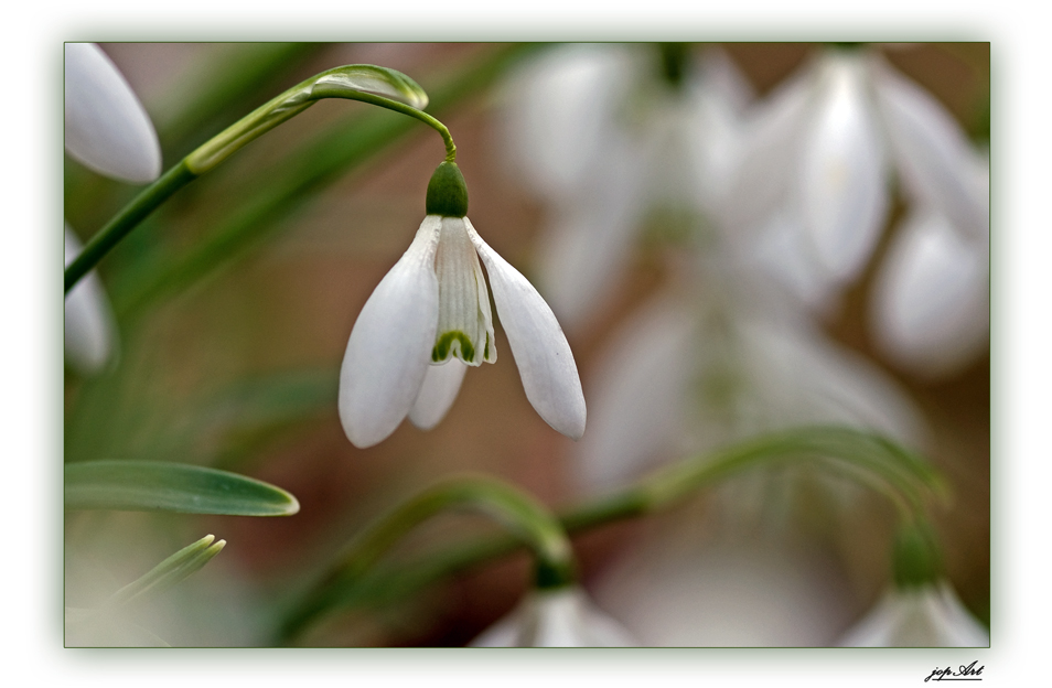 Auf der Suche nach dem Frühling...