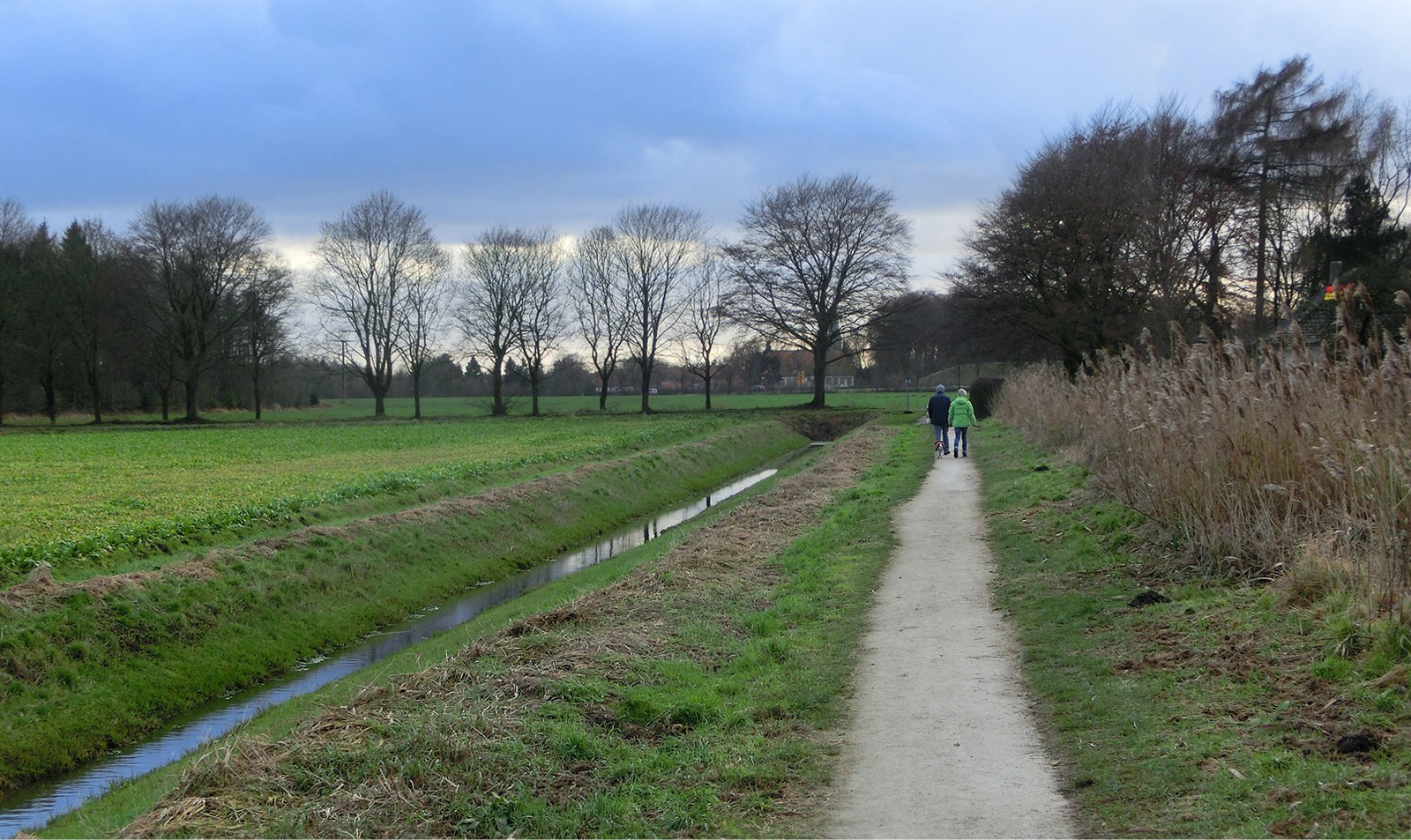 Auf der Suche nach dem Frühling 