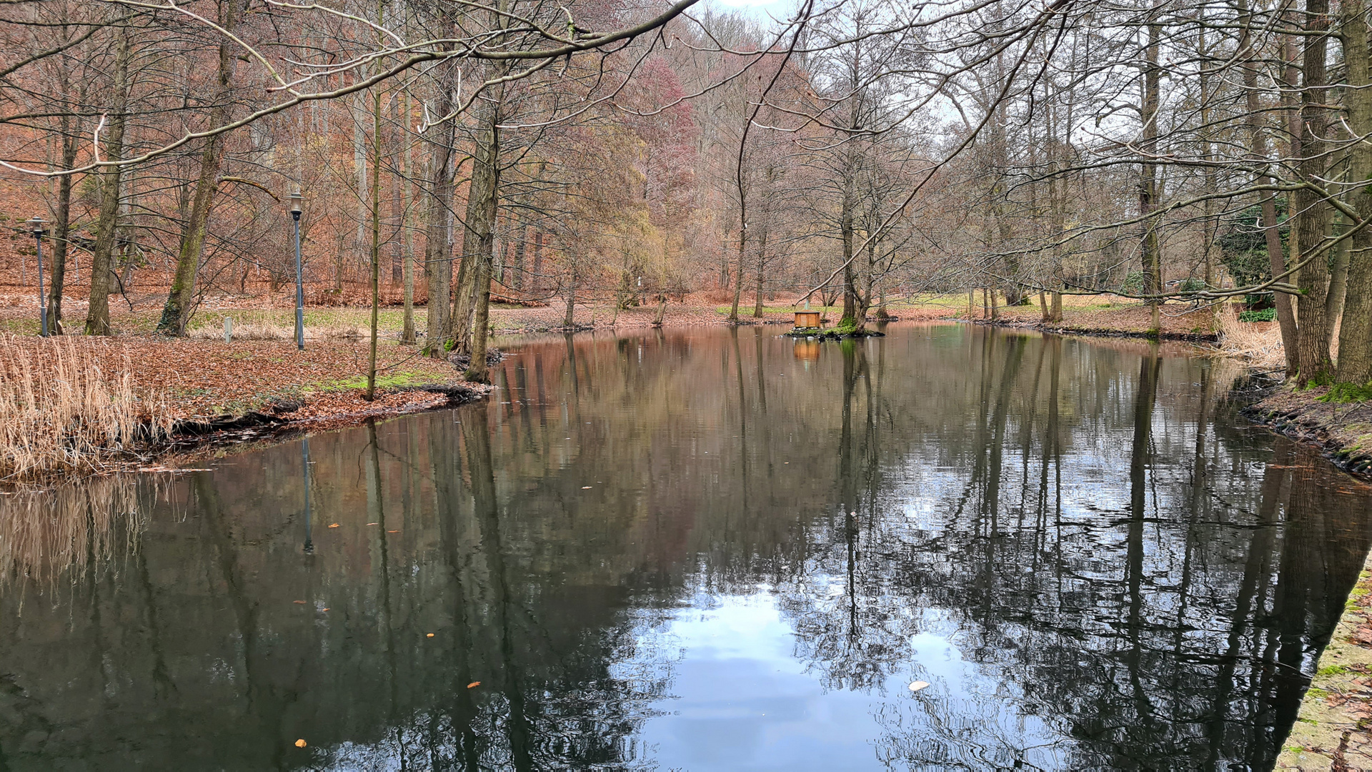 Auf der Suche nach dem Frühling...