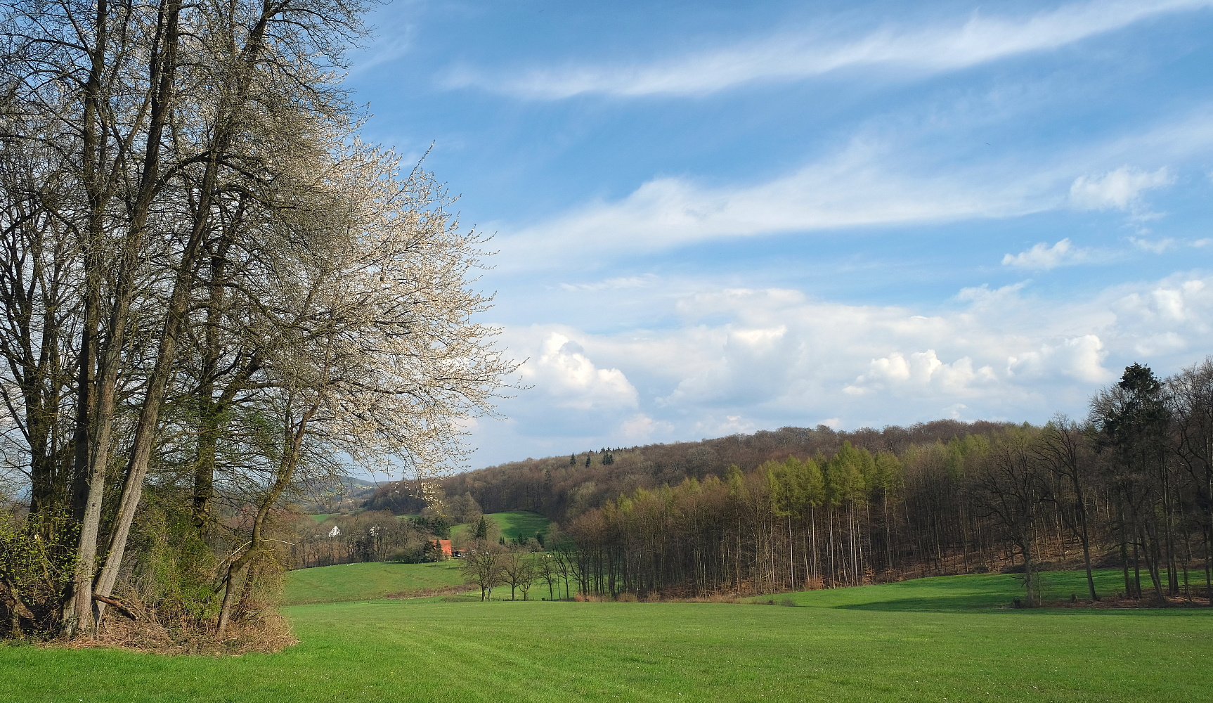 Auf der Suche nach dem Frühling