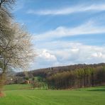 Auf der Suche nach dem Frühling