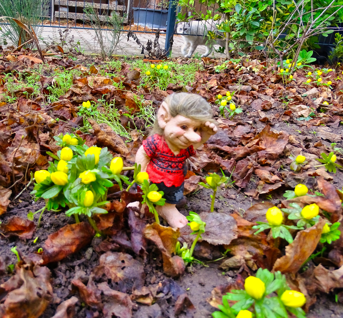 Auf der Suche nach dem Frühling