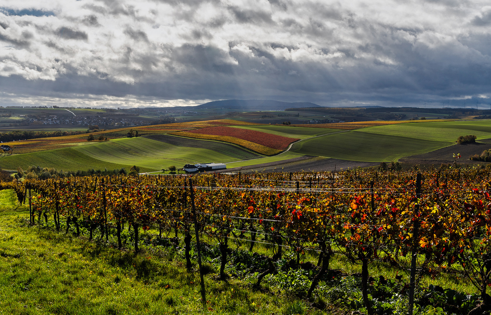 Auf der Suche nach dem "Goldenen Herbst"