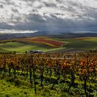 Auf der Suche nach dem "Goldenen Herbst"