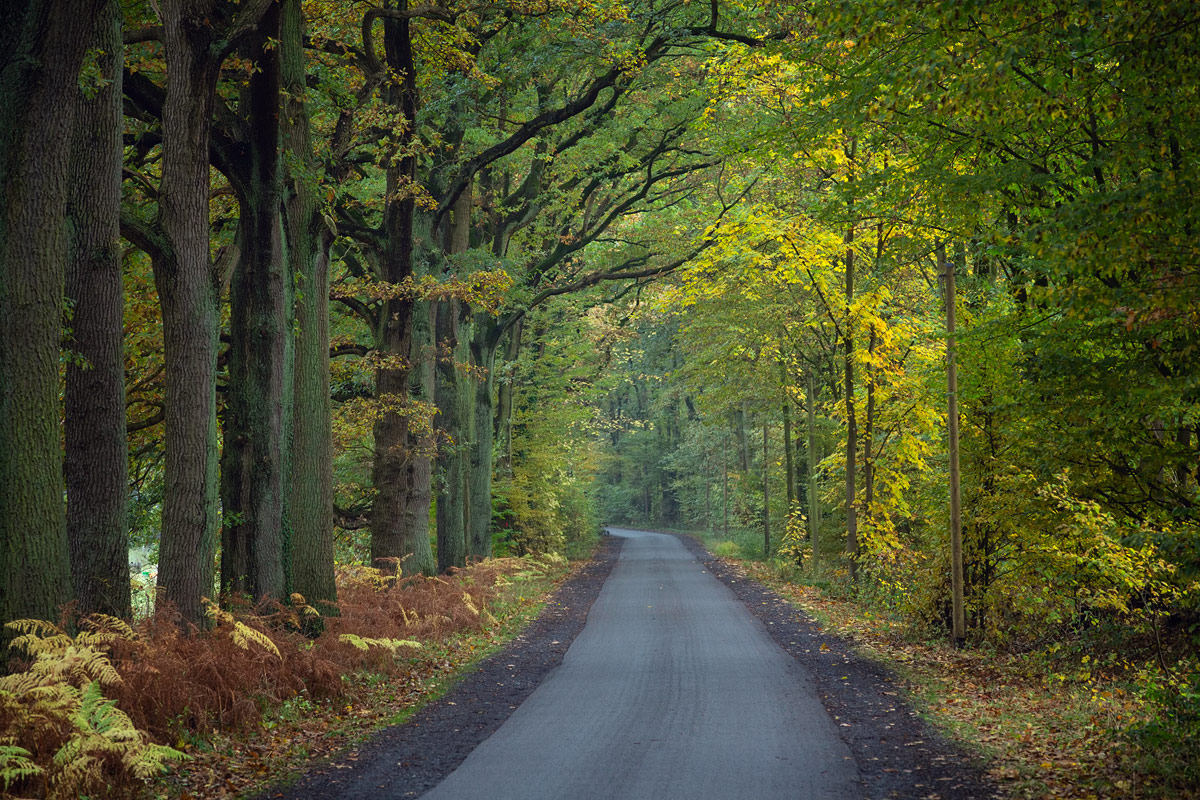 Auf der Suche nach dem Herbst