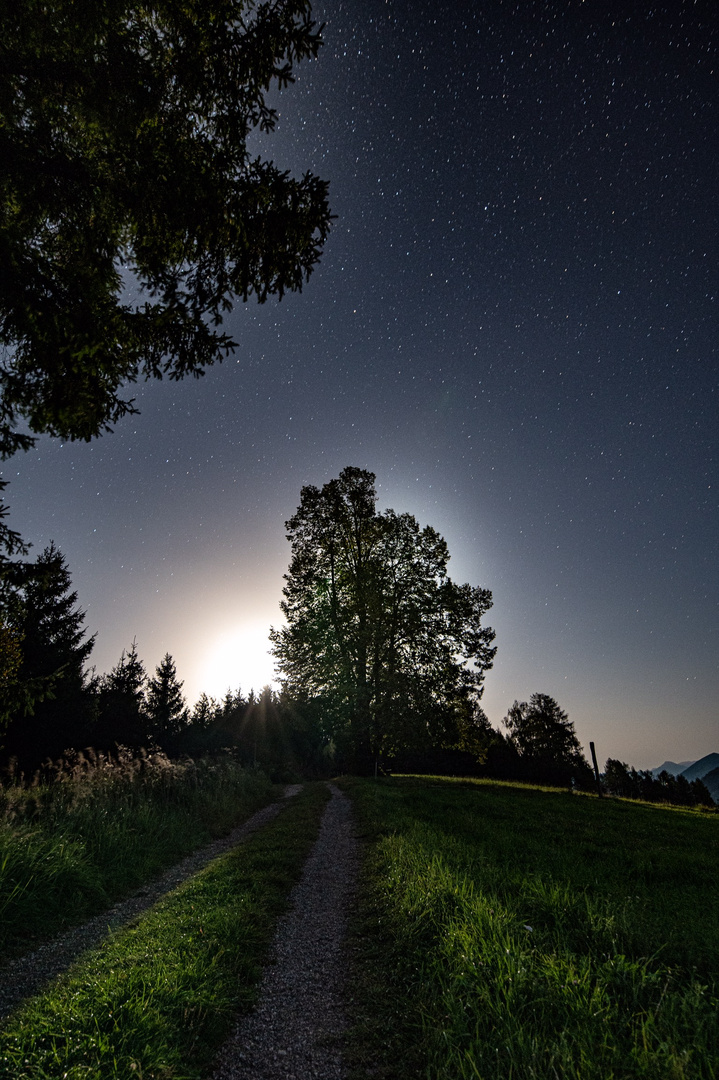 Auf der Suche nach dem Licht