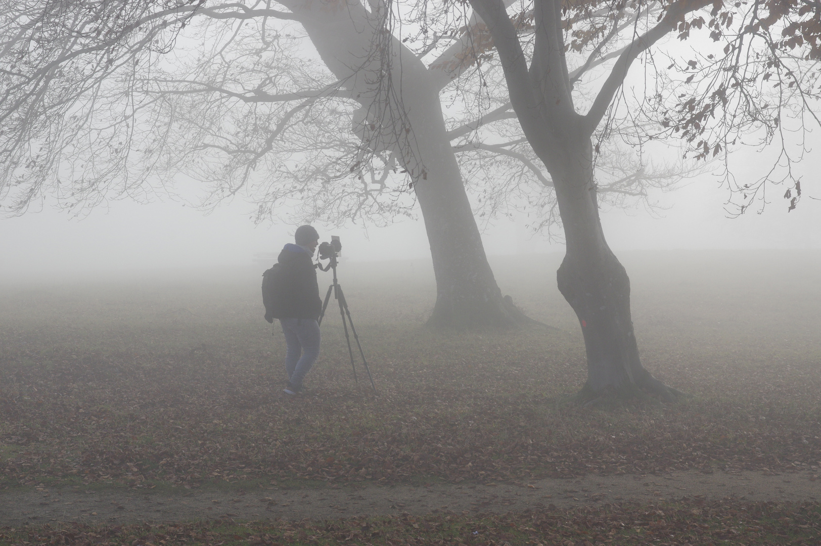 auf der Suche nach dem Nebel :-)