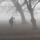 auf der Suche nach dem Nebel :-)