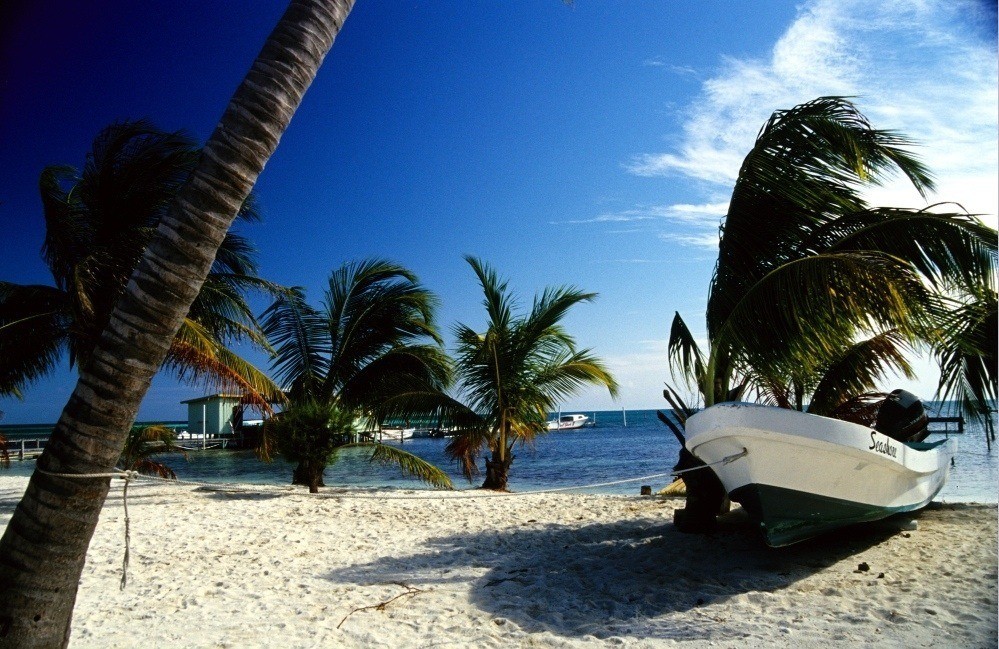 Auf der Suche nach dem perfekten Strand VI