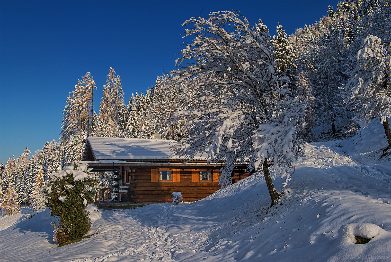 Auf der Suche nach dem Schnee [1] - Die Hütte