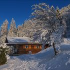 Auf der Suche nach dem Schnee [1] - Die Hütte