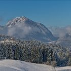 Auf der Suche nach dem Schnee [3] - Winterwonderland