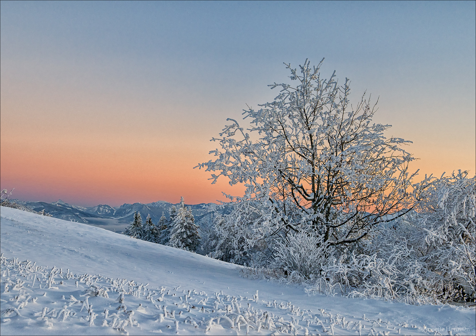 Auf der Suche nach dem Schnee [4] - Zarte Winterfarben