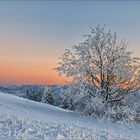 Auf der Suche nach dem Schnee [4] - Zarte Winterfarben