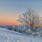 Auf der Suche nach dem Schnee [4] - Zarte Winterfarben