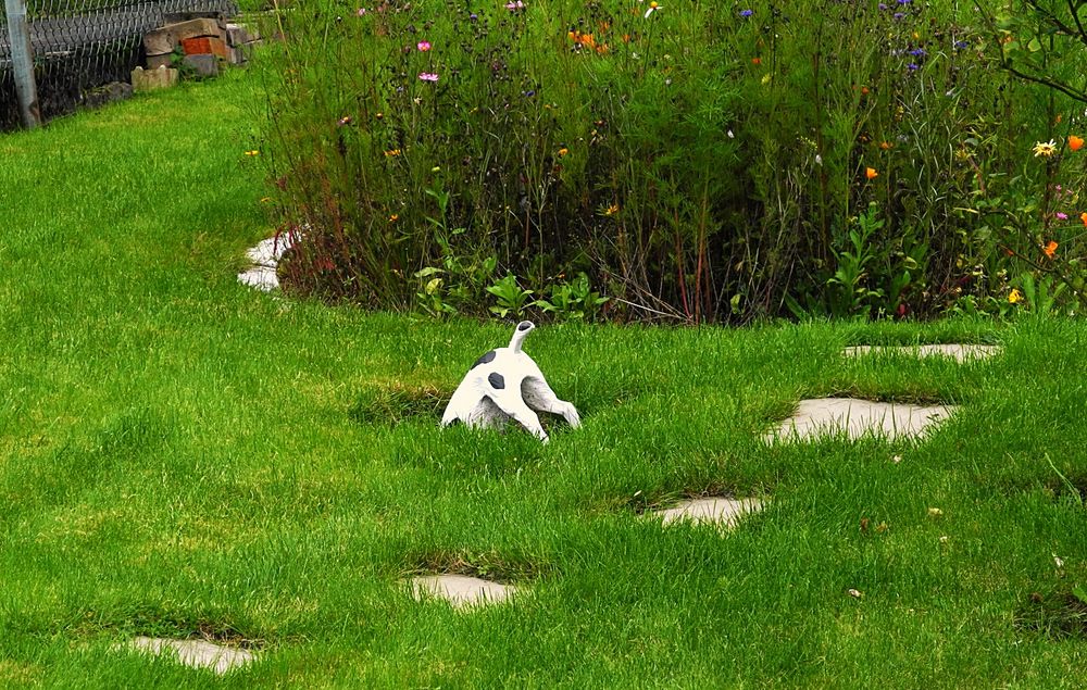 Auf der Suche nach dem Sommer...