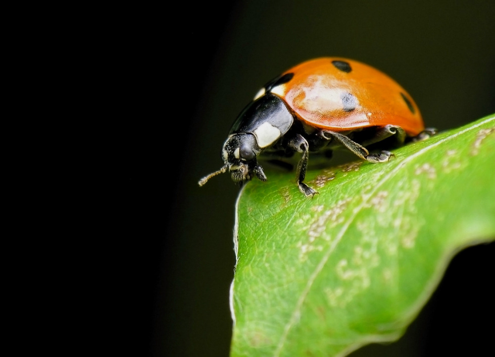 Auf der Suche nach dem Sommer