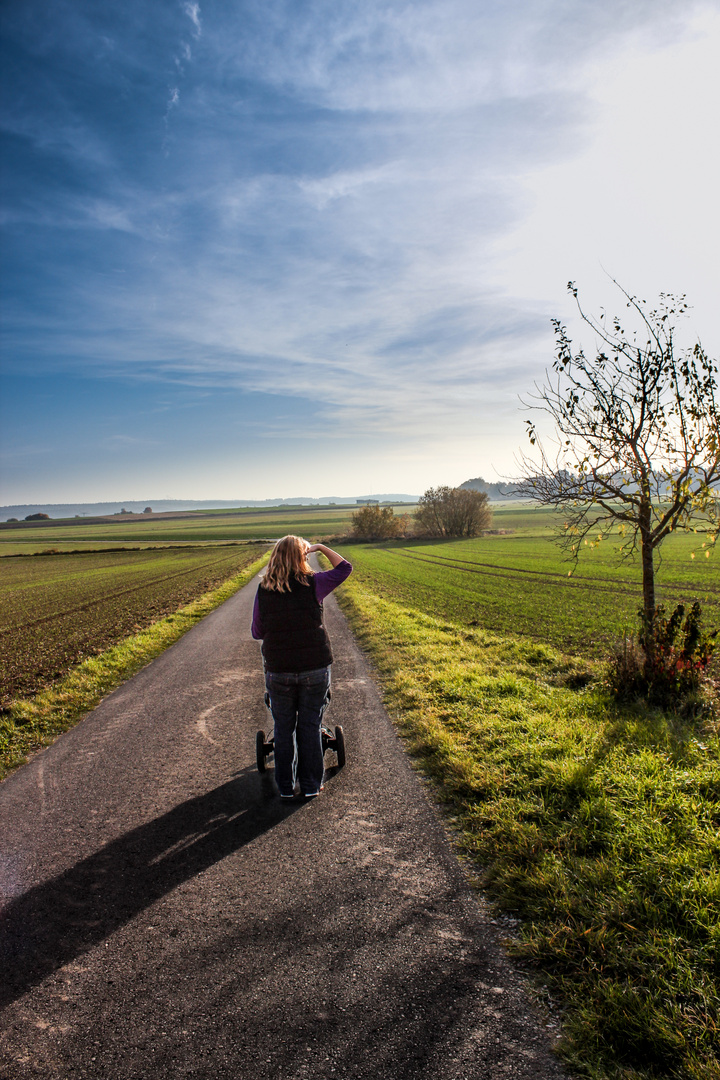 ' auf der suche nach dem Sommer '