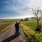 ' auf der suche nach dem Sommer '