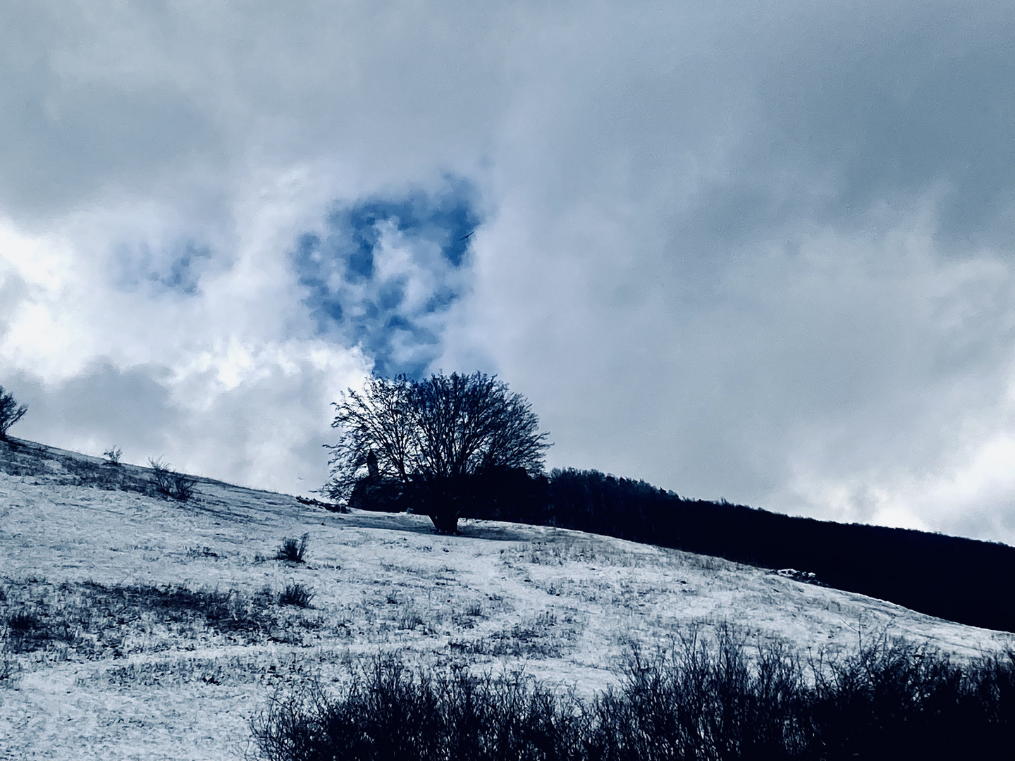 auf der Suche nach dem verlorenen Winter (3)