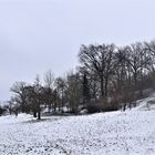 auf der Suche nach dem verlorenen Winter...(2)