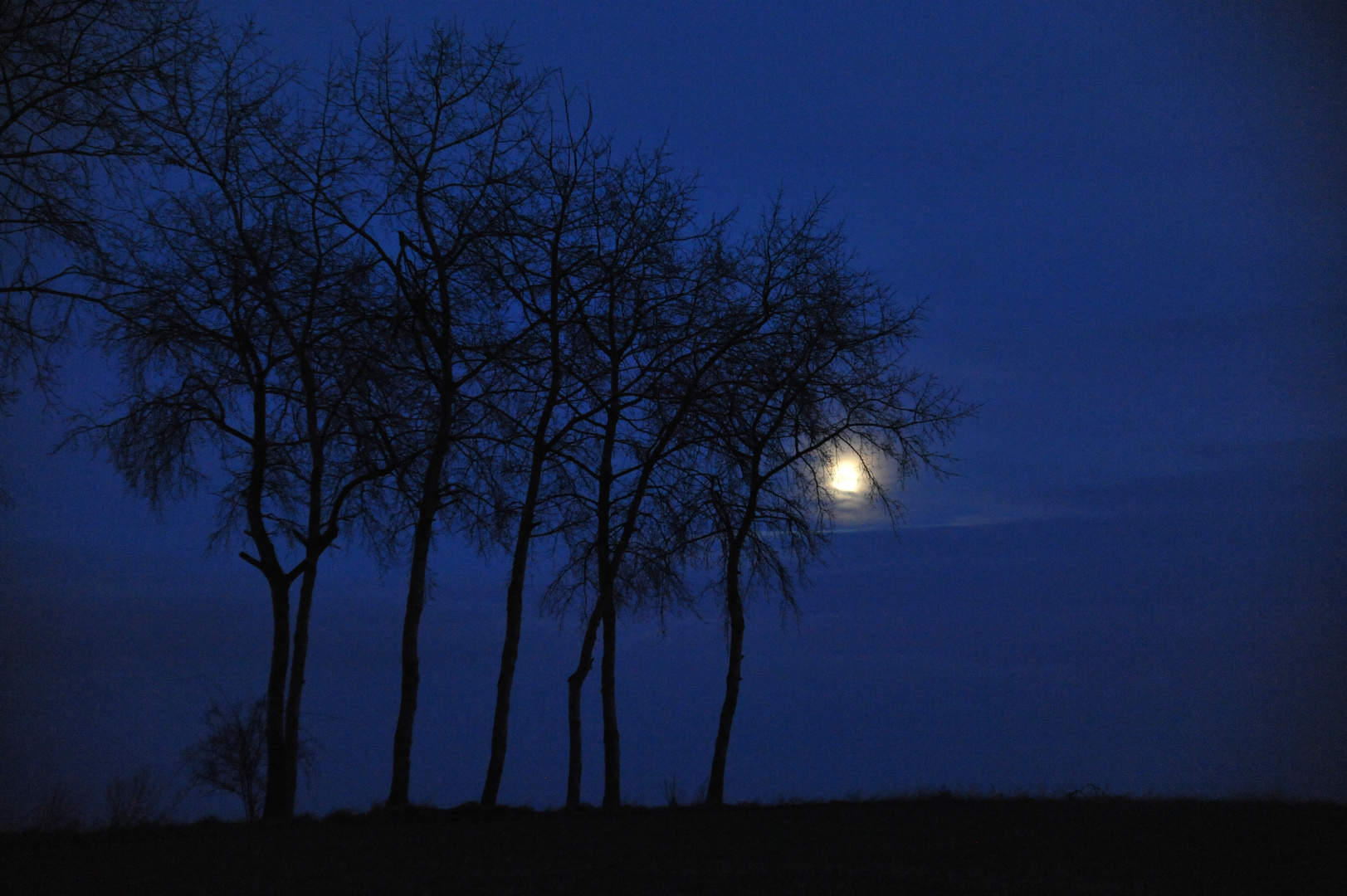 Auf der Suche nach dem Vollmond