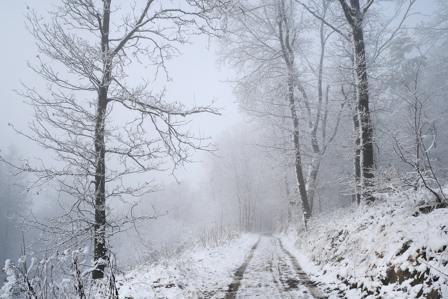 Auf der Suche nach dem Winter