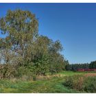 Auf der Suche nach dem zarten Herbst