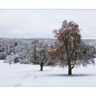 Auf der Suche nach den Farben...