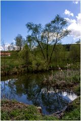 Auf der Suche nach der Laus im Pelz