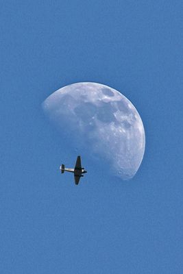 auf der Suche nach einer Landemöglichkeit ?