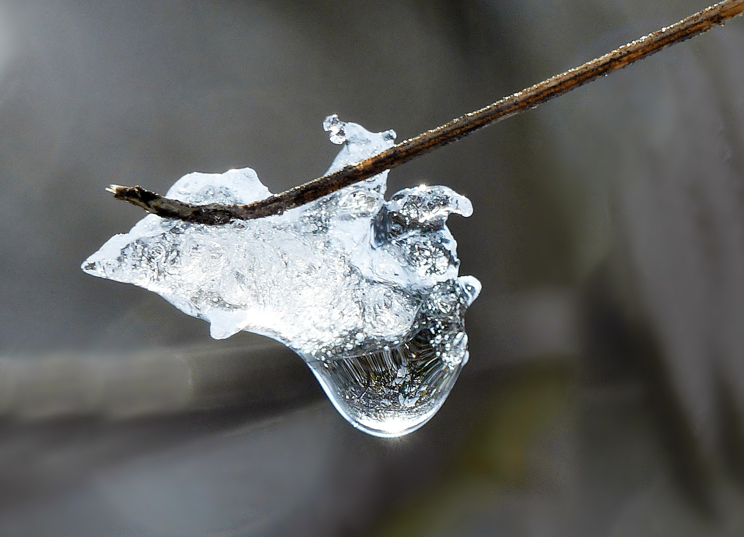 Auf der Suche nach Eismotiven