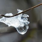 Auf der Suche nach Eismotiven