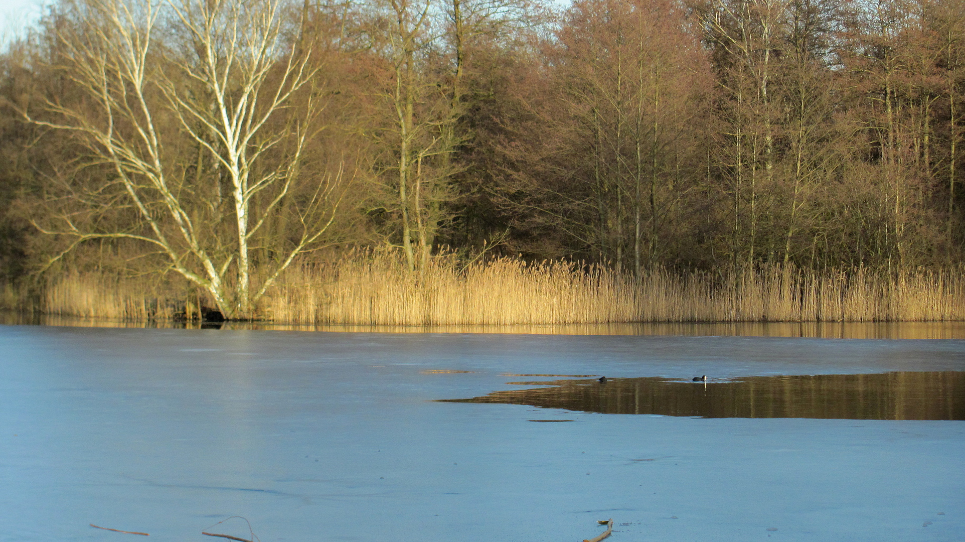 auf der Suche nach Frühling 4