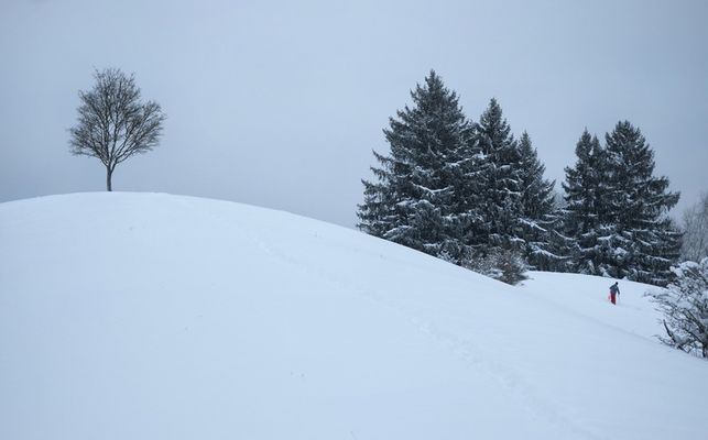 Auf der Suche nach Minimalismus II