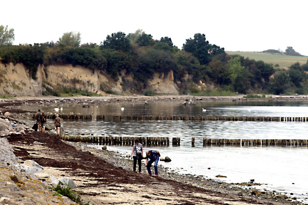 Auf der Suche nach Strandgut