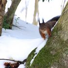 Auf der Suche nach versteckten Schätzen!