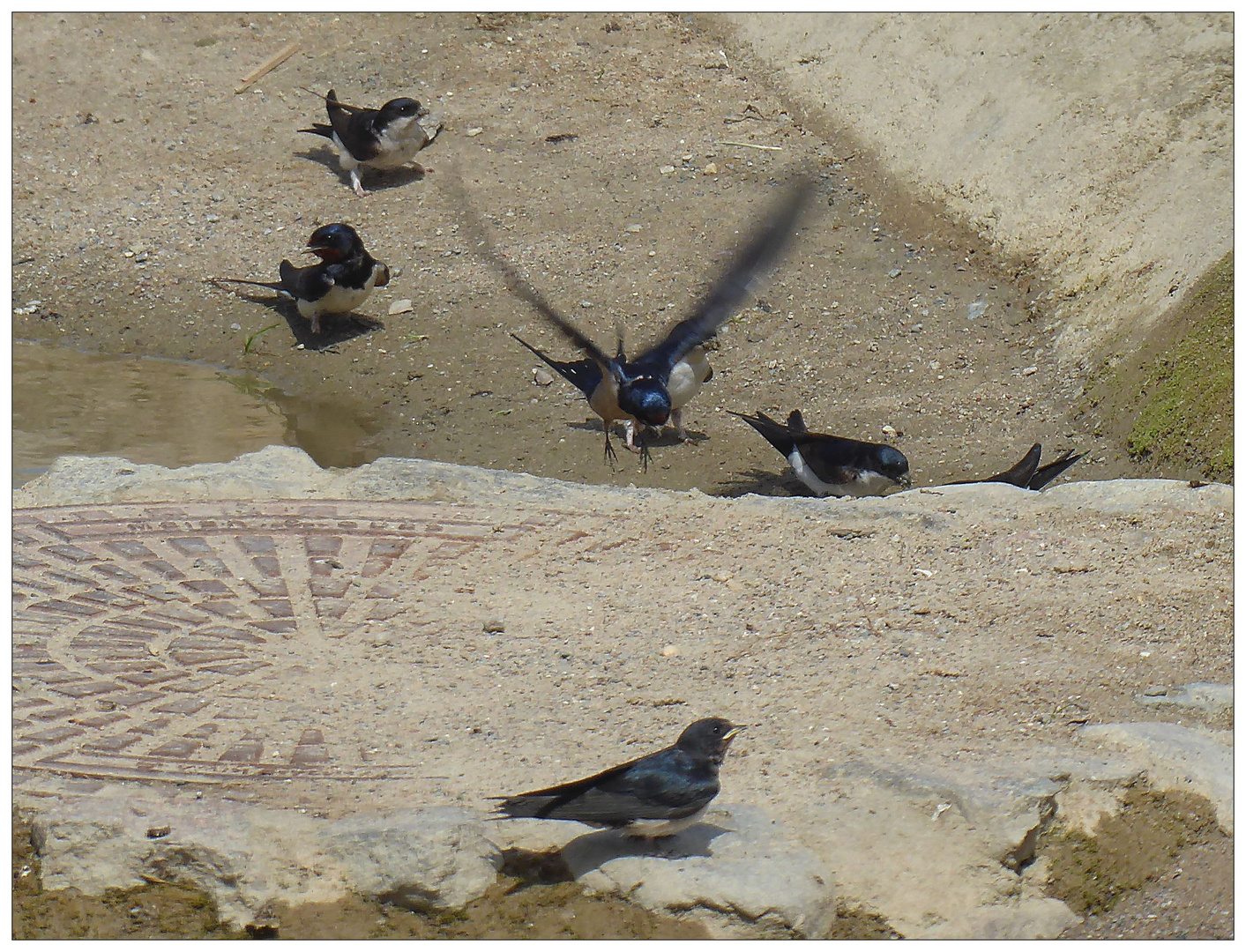 Auf der Suche nach Wasser