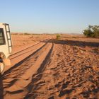 Auf der Suche nach Wüstenelefanten