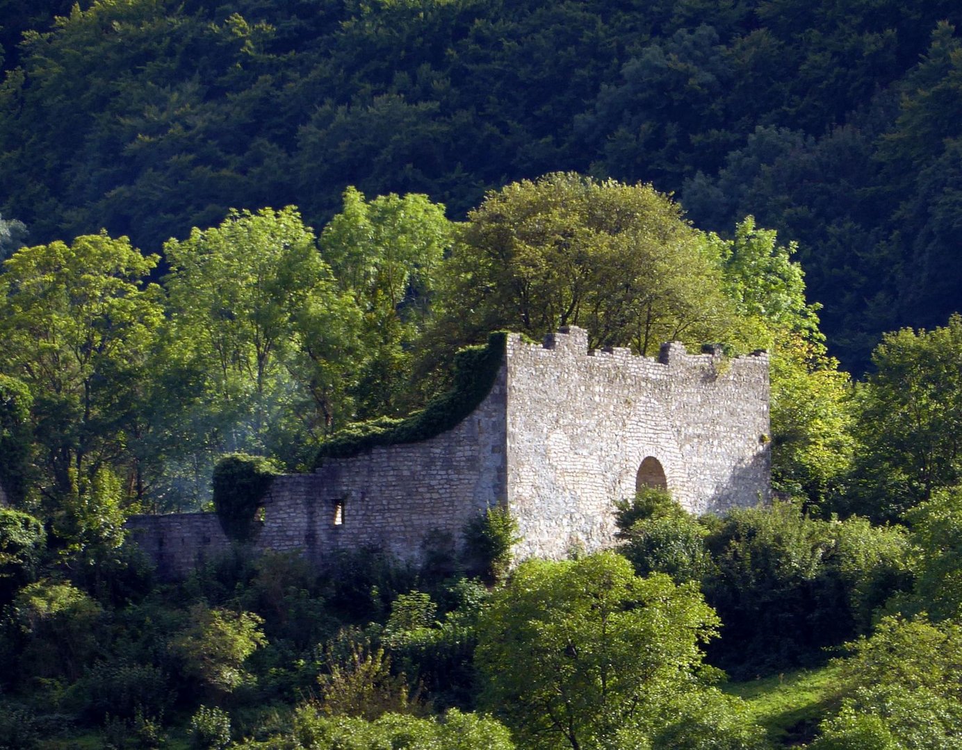 Auf der Sulzburg