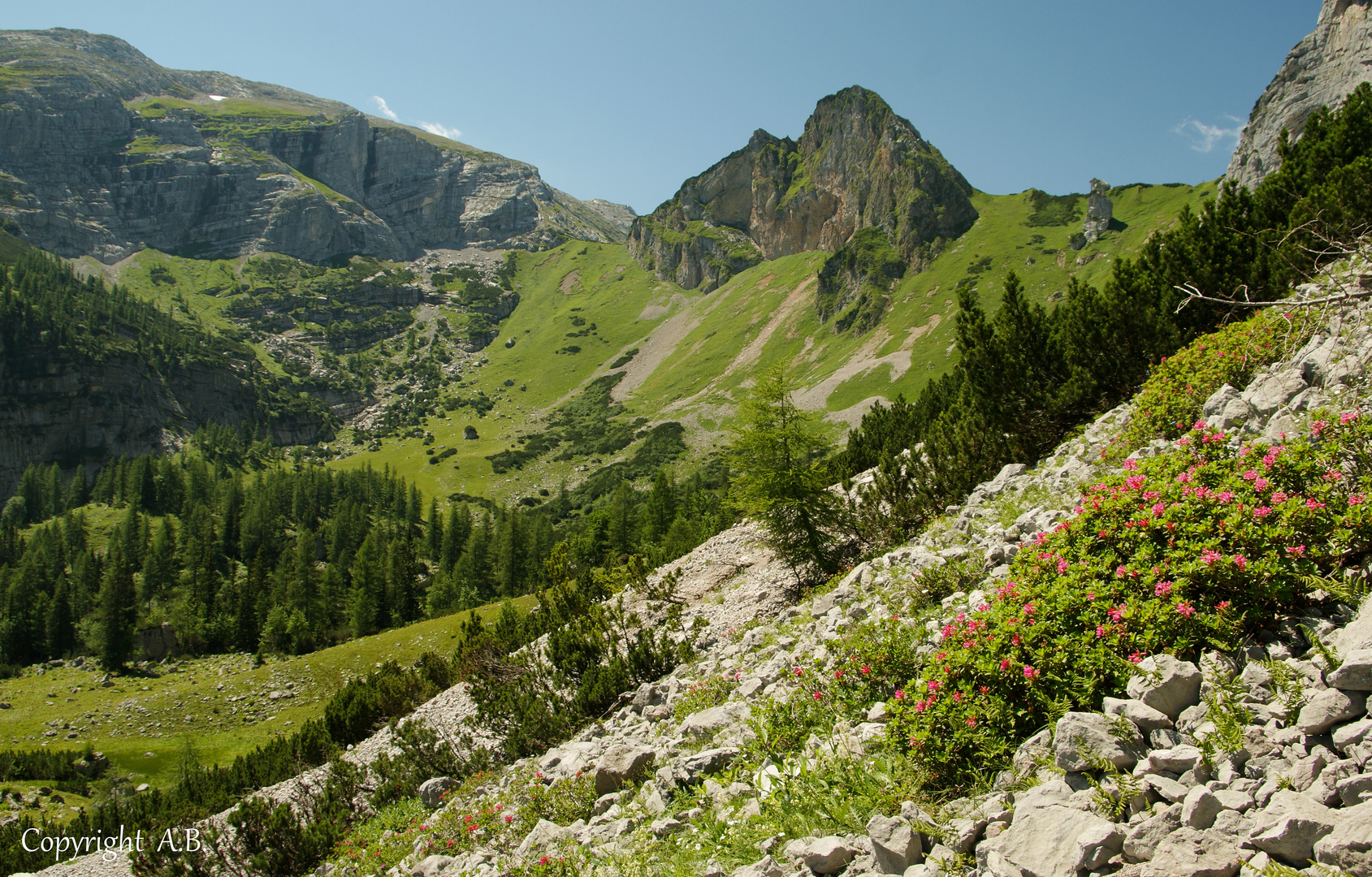 Auf der Sulzkaralm